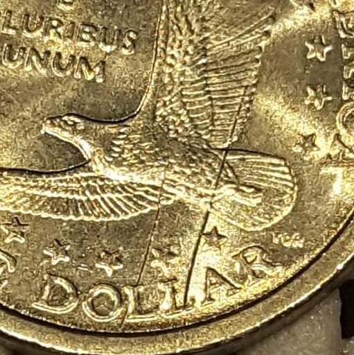 2000-P-Sacagawea-Die-Gouge-Help!!